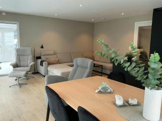 Newly Built Cabin With Sauna By Oldevatnet - 3