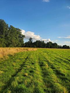 Jardin de Ruban - Parcel Tiny House - Tiny House au coeur de la nature Bourguignonne MAE-7473 - 8