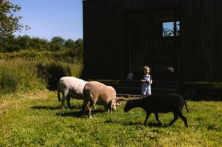 Parcel Tiny House Guilde - Tiny House dans une ferme à 20 min du zoo de Beauval MAE-0433 - 8