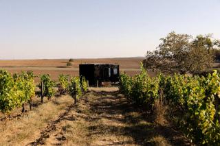 Cave Nérot - Parcel Tiny House - Tiny House au coeur des vignes proche Sancerre MAE-1243 - 9