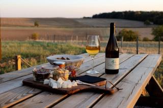 Cave Nérot - Parcel Tiny House - Tiny House au coeur des vignes proche Sancerre MAE-1243 - 5