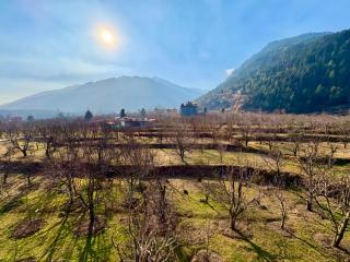 The Blue Park By Oscar - 3