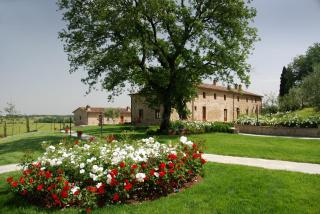 I Grandi Di Toscana - Ciggiano - 7
