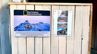 Black Stone Hilltop Great Wall Lodge - 4