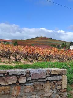 La Cazotte entre vignes et village - 0