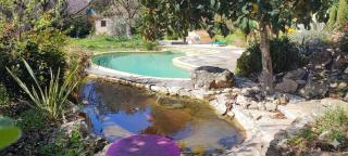 Grand studio 30 m2 dans villa avec piscine proche de Valbonne - 6