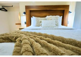 Tulipán Azul Depa Renovado 2 Recámaras - 5