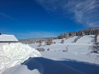 Ferienwohnung Anni - inkl aktivCARD Bayerischer Wald - Philippsreut - 4
