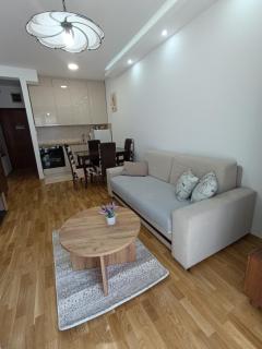 Cozy Family 4, Centar NS, Smart TV, Self Check-in - 5