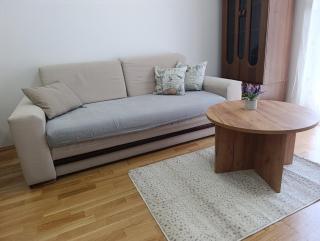 Cozy Family 4, Centar NS, Smart TV, Self Check-in - 2