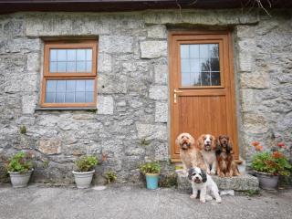 3 Bed in Falmouth oc-conwi - 1