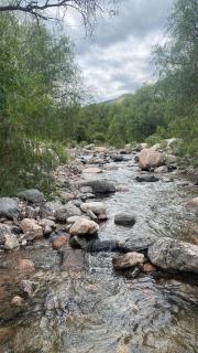 la sombrita rodante - 2