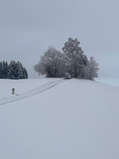 Stiegler's Ferienhäuschen - 2