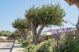 Omvrodektis Village - 5