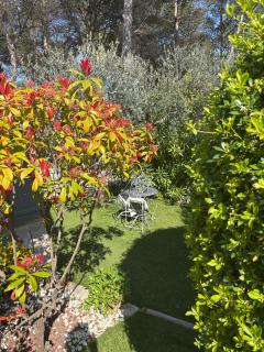 Bastidon de Moon - 6