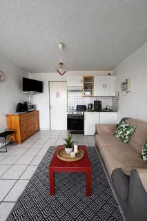 Grand Sud - Climatisation, piscine, parking - 7
