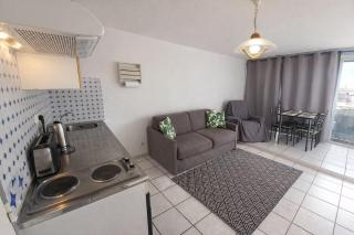 Grand Sud - Climatisation, piscine, parking - 4