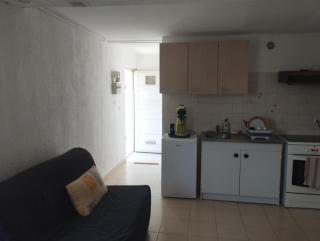 L' amandier - 2