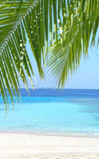 Gloria Luxury Suites - 9