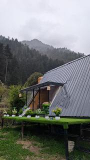 Kasol A-Frame Cottage - 7