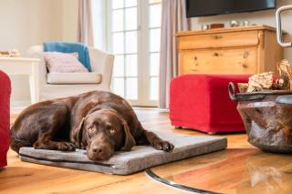 Weiße Kate Gut Priesholz - 2