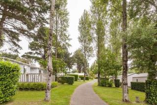 Camping Paradis les Capucines - 5