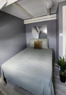 Bel appartement hyper centre - 4