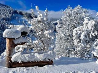 ALM SEASONS PREMIUM CHALET - ganzes Chalet - 5