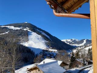 ALM SEASONS PREMIUM CHALET - ganzes Chalet - 1