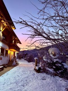ALM SEASONS PREMIUM CHALET - ganzes Chalet - 9