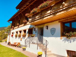 ALM SEASONS PREMIUM CHALET - ganzes Chalet - 0