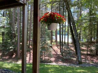 Loonsight - Minocqua - 1