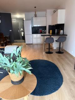 Apartament Centro 63 z bezpłatnym garażem - 9