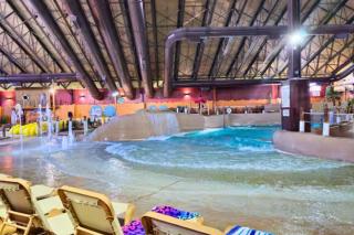 Dog Friendly Indoor Pool Pool Table Slps 22 - 6