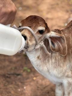 Pousada Du Porto - 1