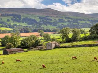 Foal Barn Cottages - The Smithy - Spennithorne - 5
