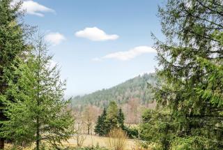KRelax Schwarzwald - 6 Gäste - großer Parkplatz, Terrasse, SmartTV, Therme und Natur - 5