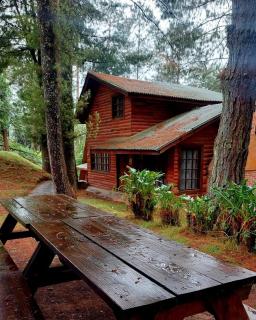 Cabañas El Rincón de Pancho - 0