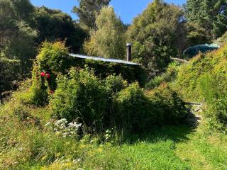 Riverside Cabin in Akaroa - 2