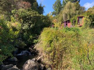 Riverside Cabin in Akaroa - 8