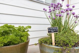 8994-Orsted-Rylevej-26 - 8