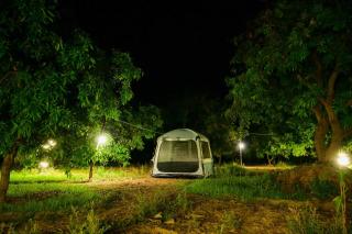 Wildtentadventure - 4