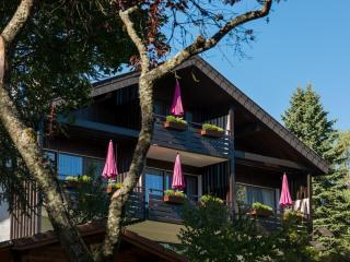 Landhaus Gruden Sommerberg - Bad Wildbad - 2