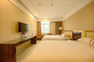 Vienna Classic Hotel Fujian Nanjing - 1
