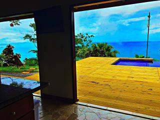 Stunning Ocean View, Infinity Pool, OutdoorKitchen - 5