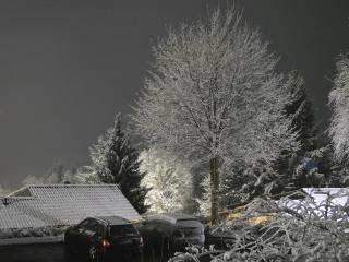 Landhaus Waldlehne - Biersdorf am See - 1