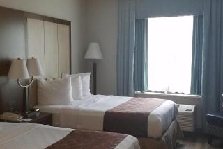 Wyndham Garden Hotel - Jacksonville - 3