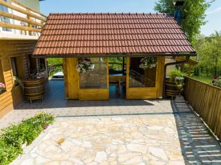 Kuća za odmor Holiday spa House Kostanjevec- Oaza mira ,bazen i spa - 4