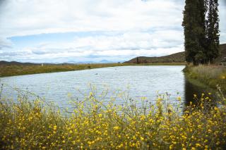 Vogelsang Farm Cottage - 4