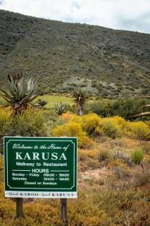 Vogelsang Farm Cottage - 8